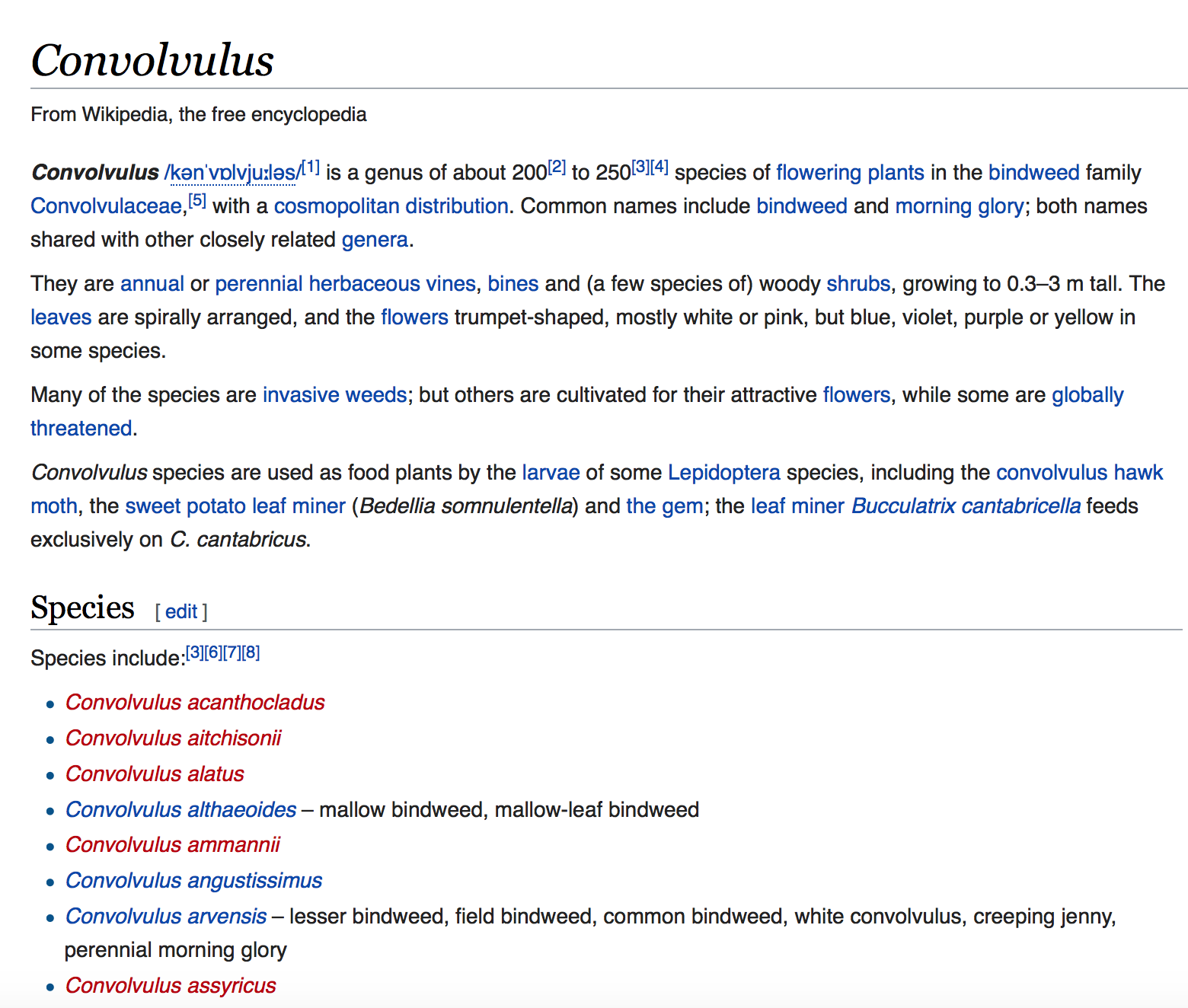 Screen Shot 2018-12-17 at 6.38.29 am