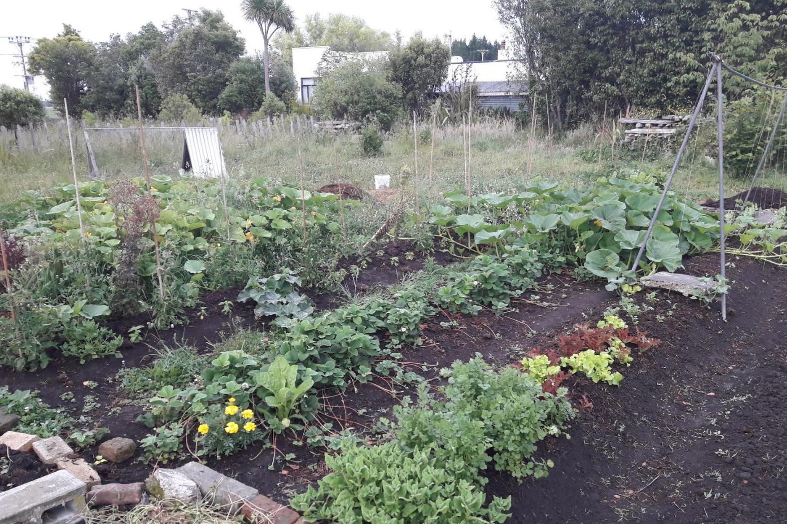 Screen Shot 2018-12-21 at 6.56.53 am