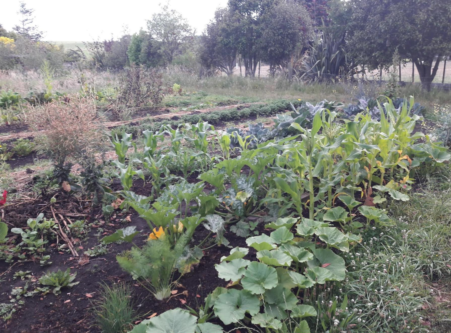 Screen Shot 2018-12-21 at 6.57.43 am