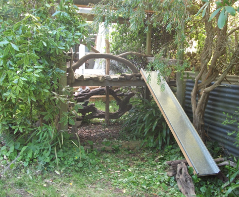 Screen Shot 2019-01-03 at 5.55.15 am