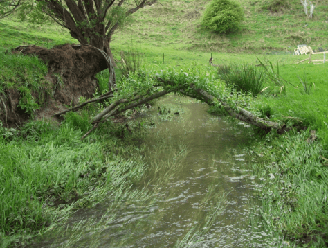 Screen Shot 2019-01-03 at 5.55.54 am