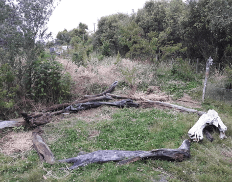 Screen Shot 2019-01-03 at 6.40.13 am