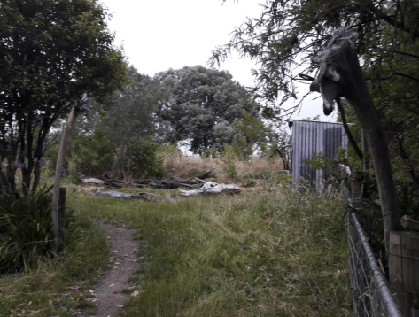 Screen Shot 2019-01-03 at 6.40.40 am