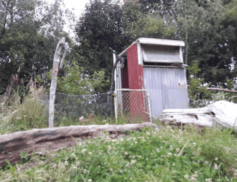 Screen Shot 2019-01-03 at 6.40.59 am