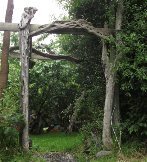 Screen Shot 2019-01-03 at 6.49.50 am