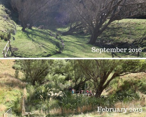 Before &amp; After 1