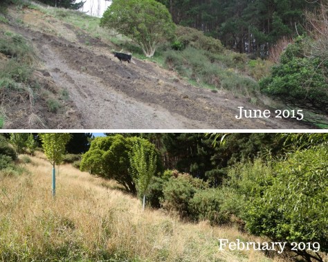 Before &amp; After 2