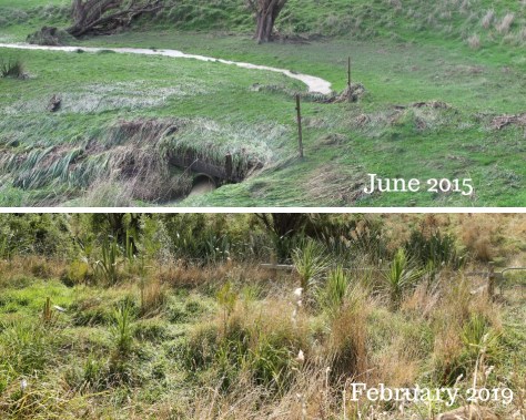 Before &amp; After 3