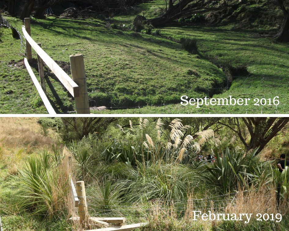 Before &amp; After 4