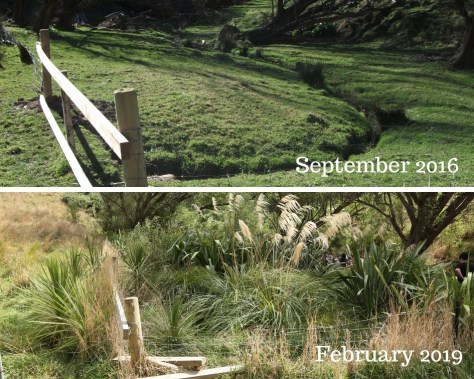 Before &amp; After 4