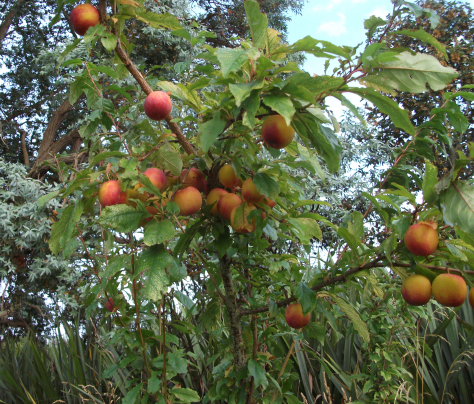 Screen Shot 2019-02-02 at 6.56.35 am