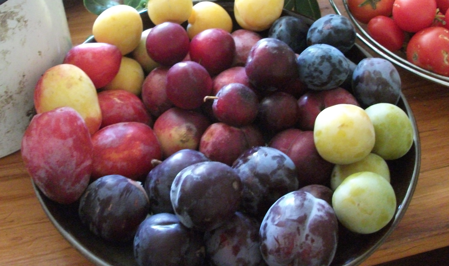 Screen Shot 2019-02-02 at 7.01.34 am