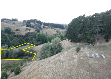 Screen Shot 2019-03-09 at 6.54.26 am