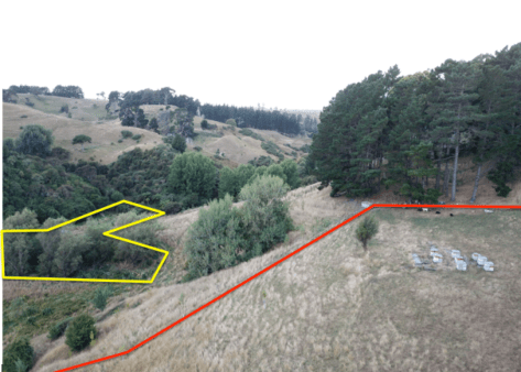 Screen Shot 2019-03-09 at 6.58.38 am