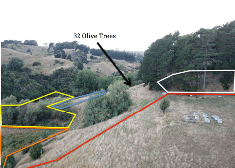 Screen Shot 2019-03-09 at 7.08.56 am