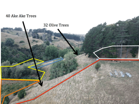 Screen Shot 2019-03-09 at 7.12.23 am