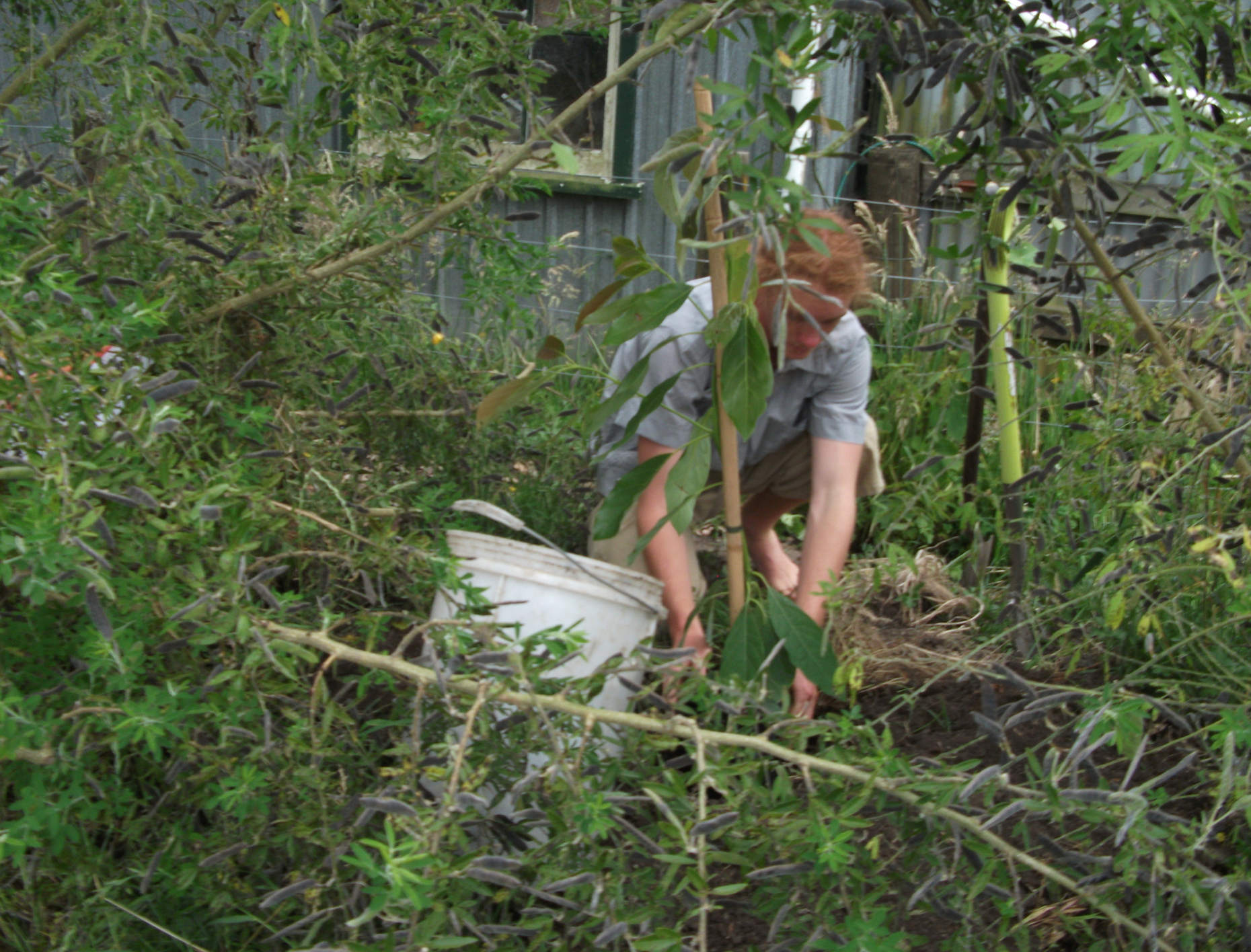 Screen Shot 2019-04-08 at 5.55.27 am