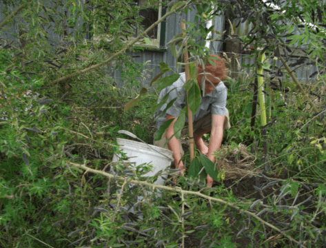 Screen Shot 2019-04-08 at 5.55.27 am