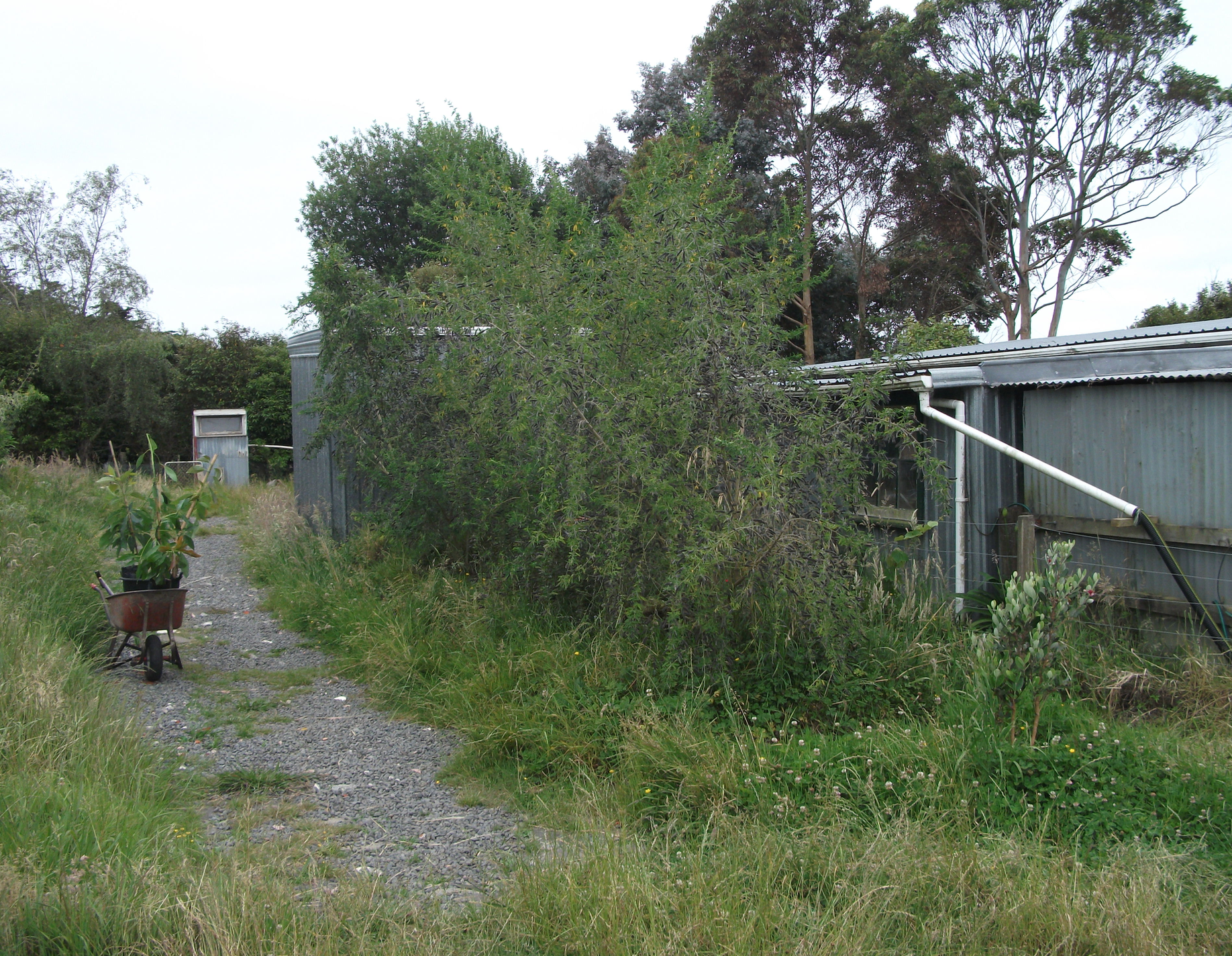 Screen Shot 2019-04-08 at 5.55.49 am