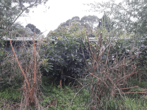 Screen Shot 2019-04-10 at 5.47.02 am