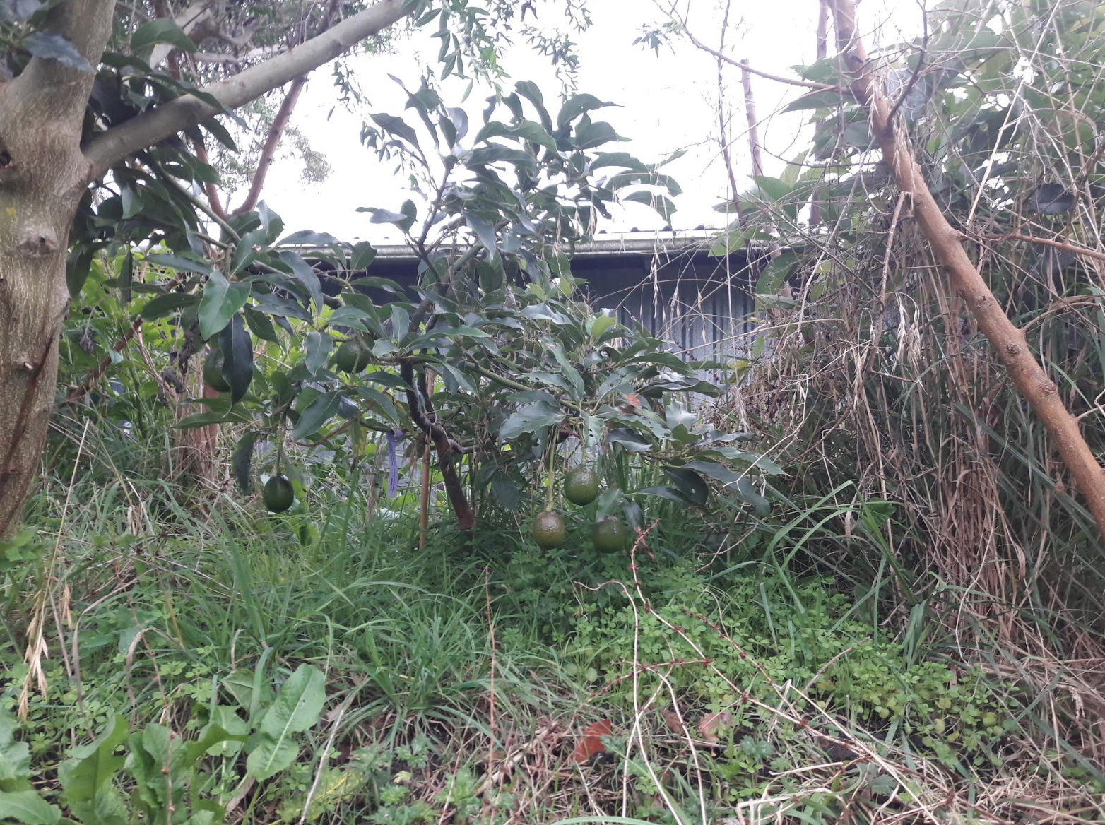 Screen Shot 2019-04-10 at 5.47.10 am