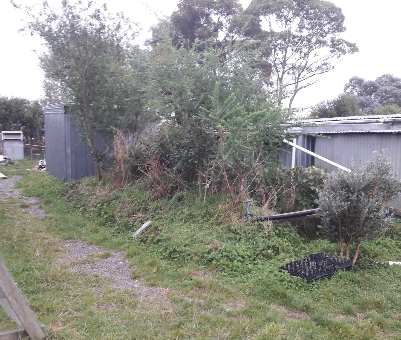 Screen Shot 2019-04-10 at 5.51.20 am