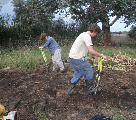 Screen Shot 2019-05-12 at 5.57.39 am