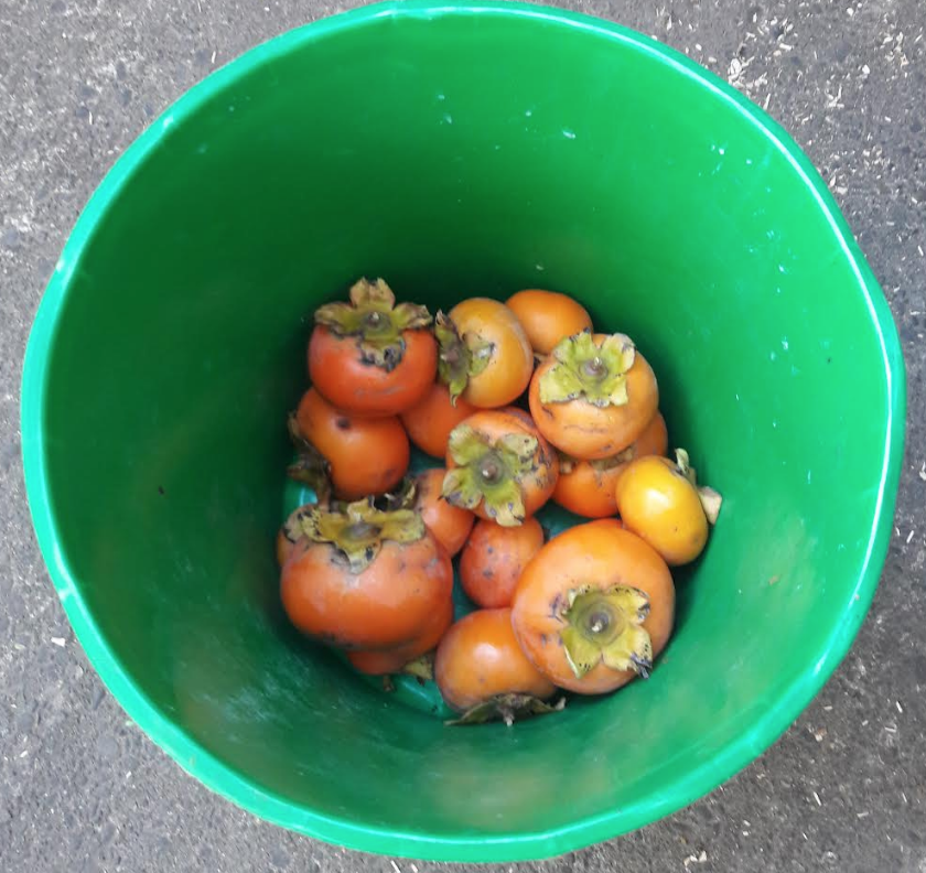 Screen Shot 2019-05-25 at 6.53.38 am