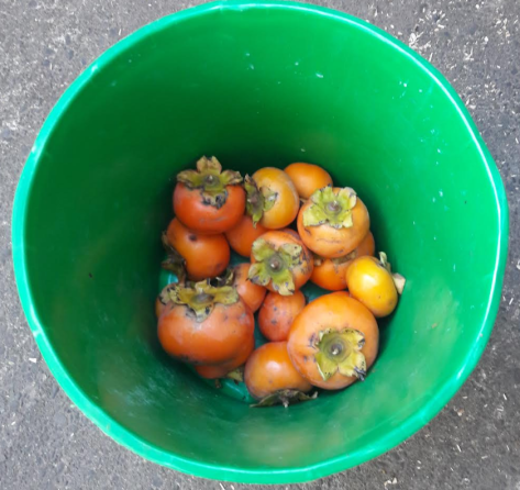 Screen Shot 2019-05-25 at 6.53.38 am