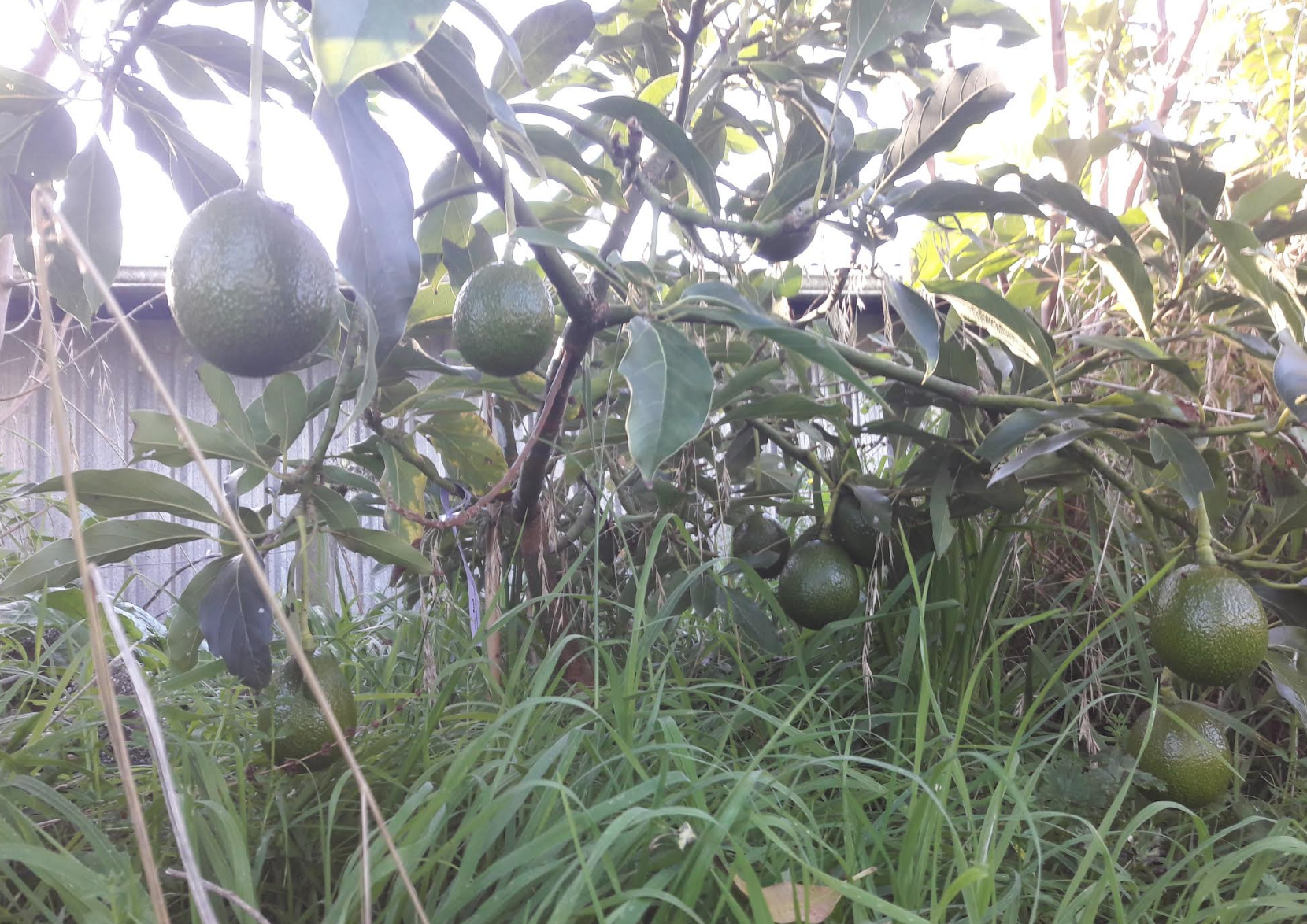 Screen Shot 2019-05-25 at 6.53.59 am