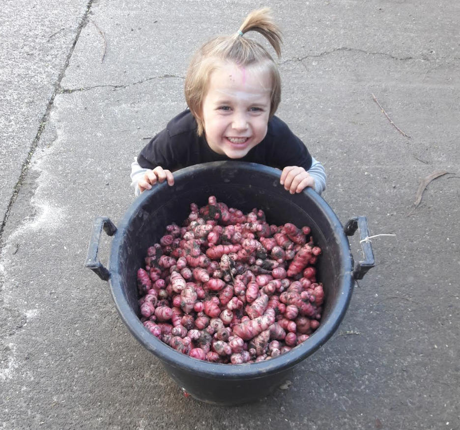 Screen Shot 2019-05-25 at 6.54.39 am