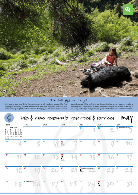 Screen Shot 2019-08-15 at 5.57.44 am