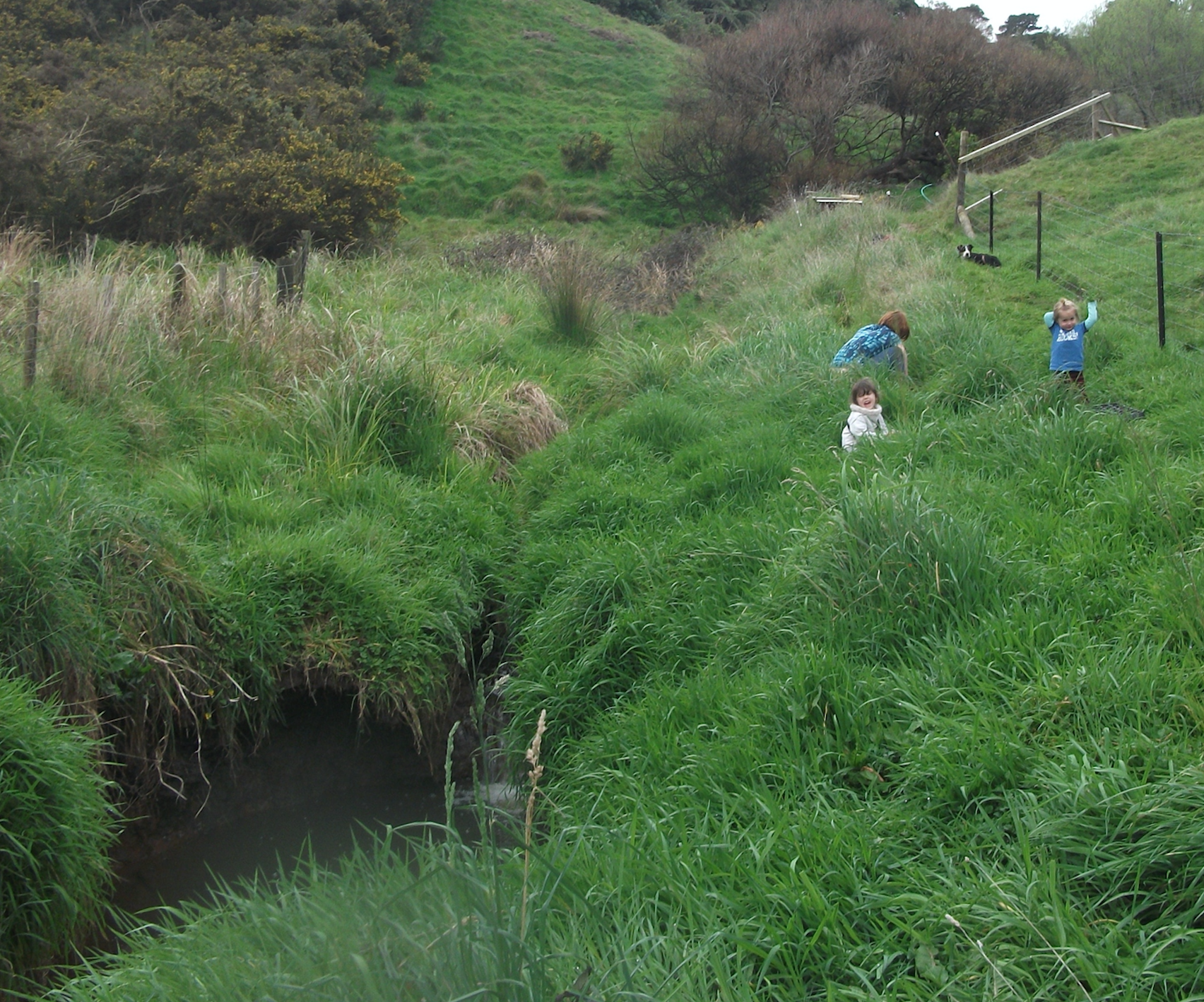 Screen Shot 2019-09-16 at 6.47.20 am