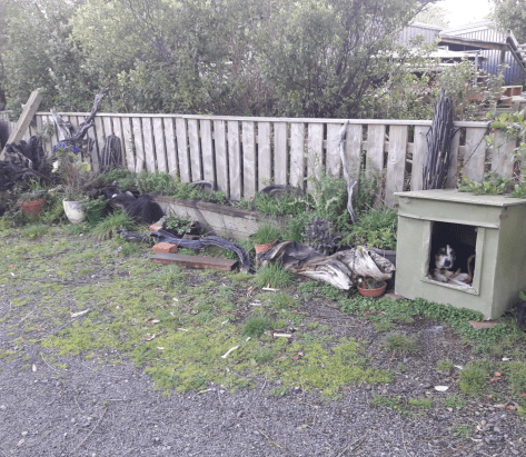 Screen Shot 2019-10-04 at 9.53.41 am