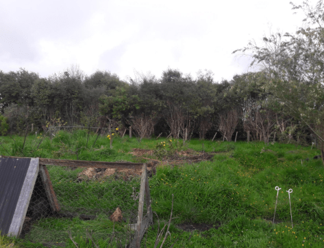 Screen Shot 2019-10-04 at 9.54.13 am