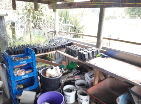 Screen Shot 2019-10-04 at 9.54.51 am