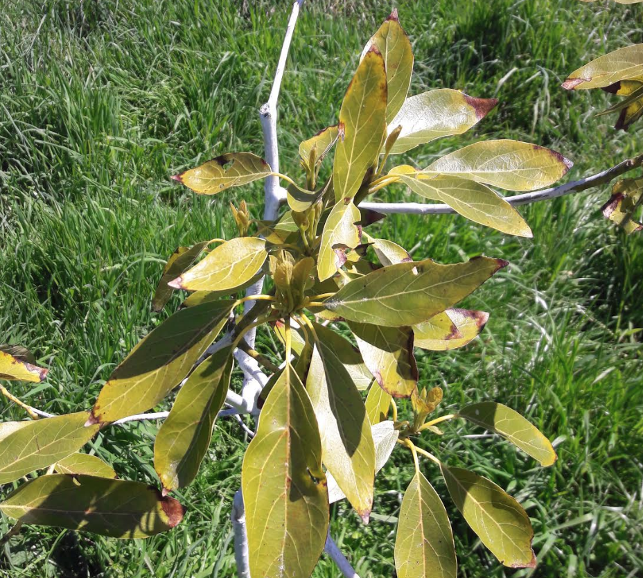 Screen Shot 2019-10-16 at 6.56.45 am