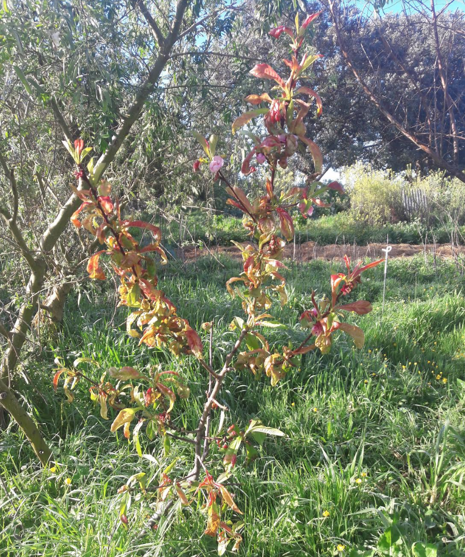 Screen Shot 2019-10-16 at 6.57.21 am