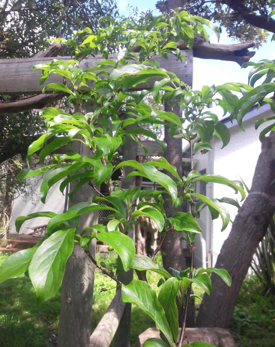 Screen Shot 2019-10-16 at 6.57.42 am