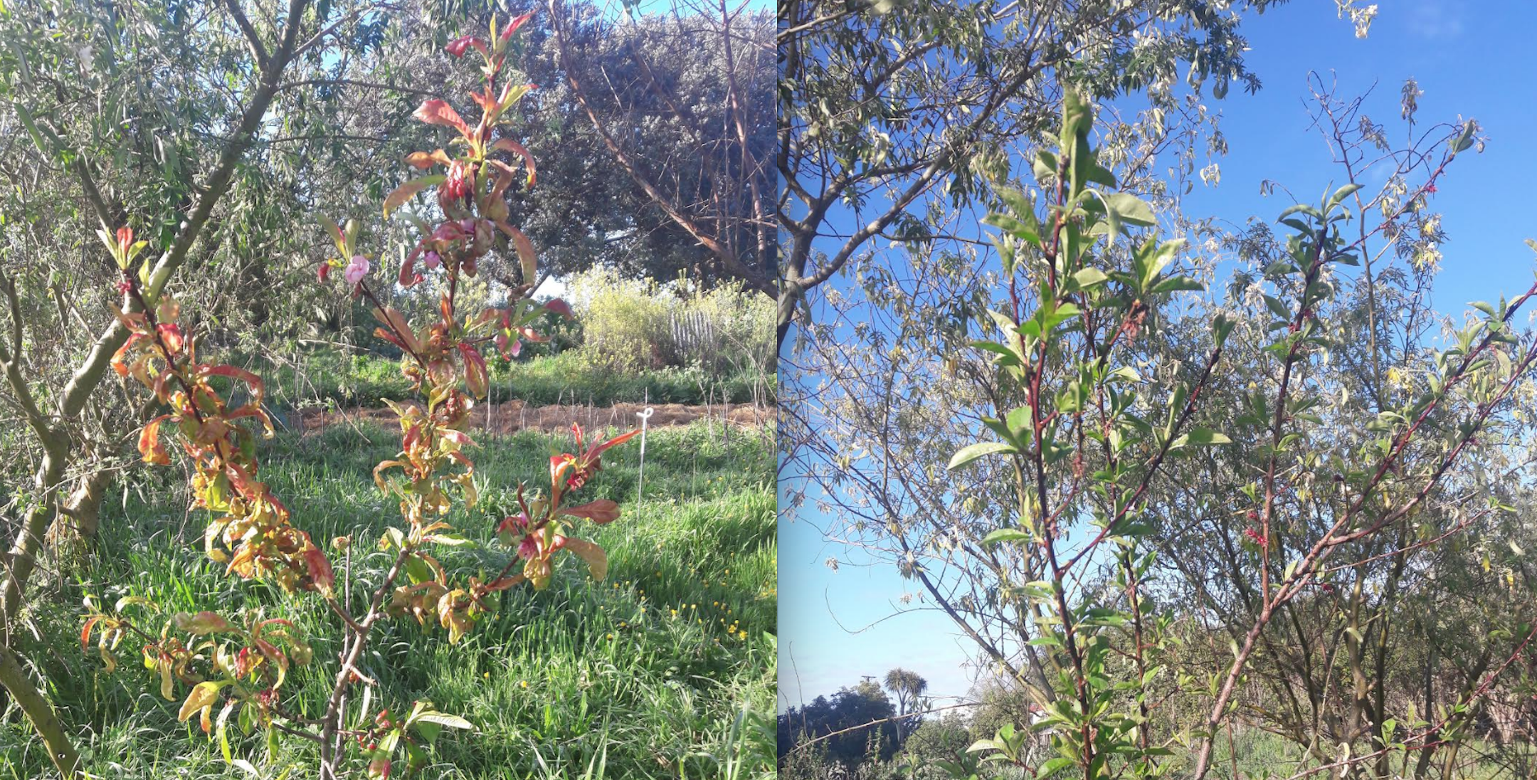 Screen Shot 2019-10-16 at 6.58.49 am