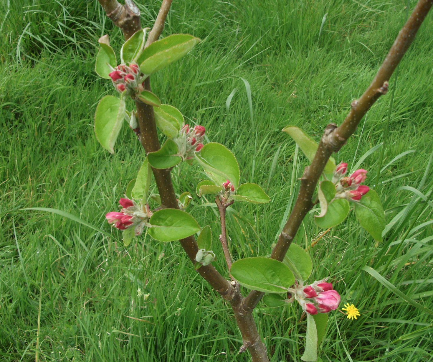 Screen Shot 2019-10-17 at 5.43.30 am