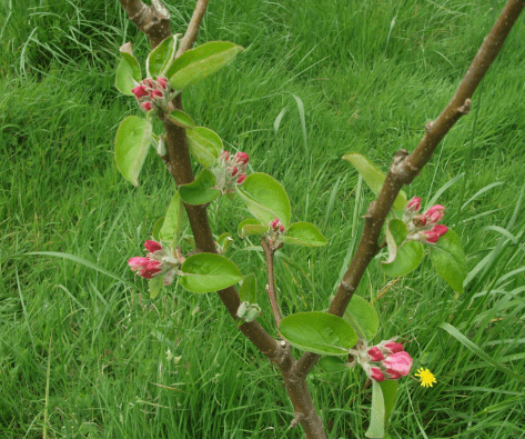 Screen Shot 2019-10-17 at 5.43.30 am