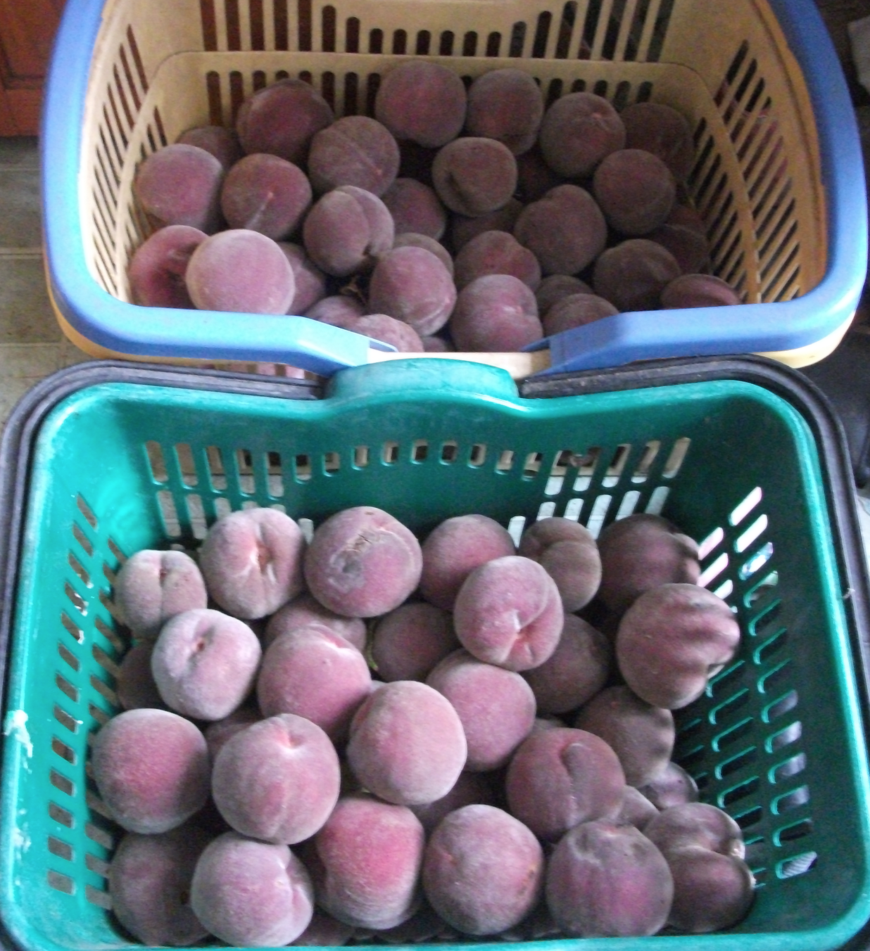 Screen Shot 2019-10-17 at 5.47.19 am