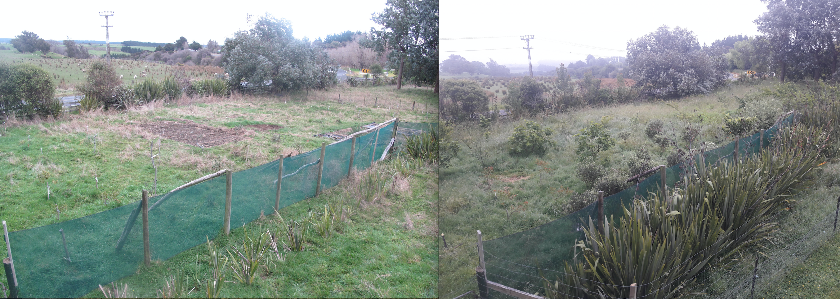 Screen Shot 2019-12-05 at 6.19.50 am