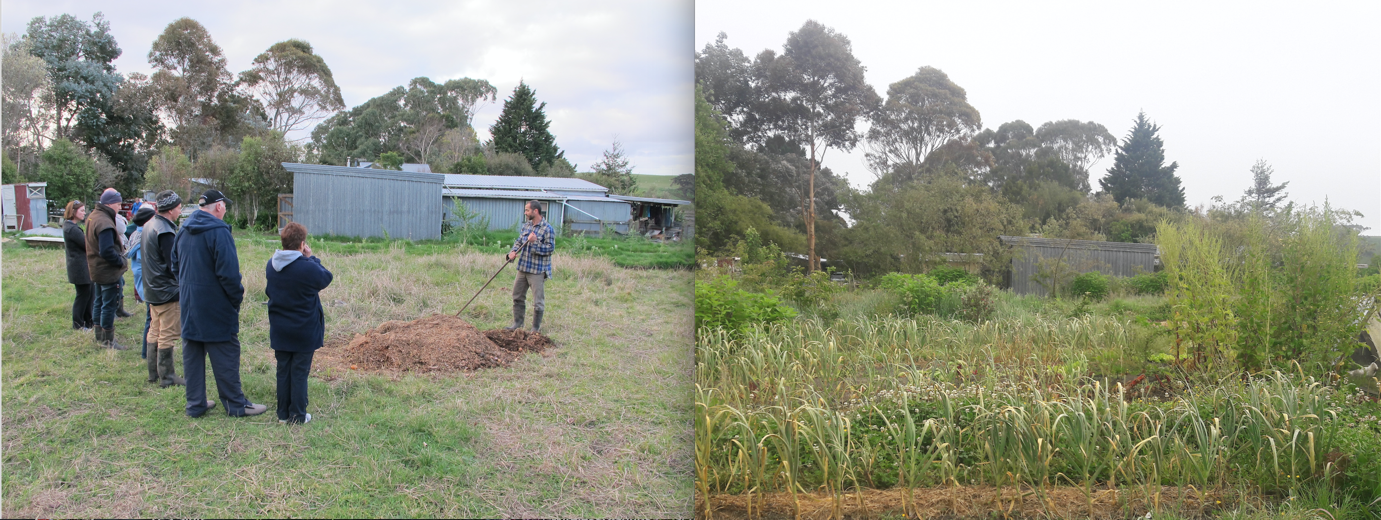 Screen Shot 2019-12-05 at 6.29.52 am