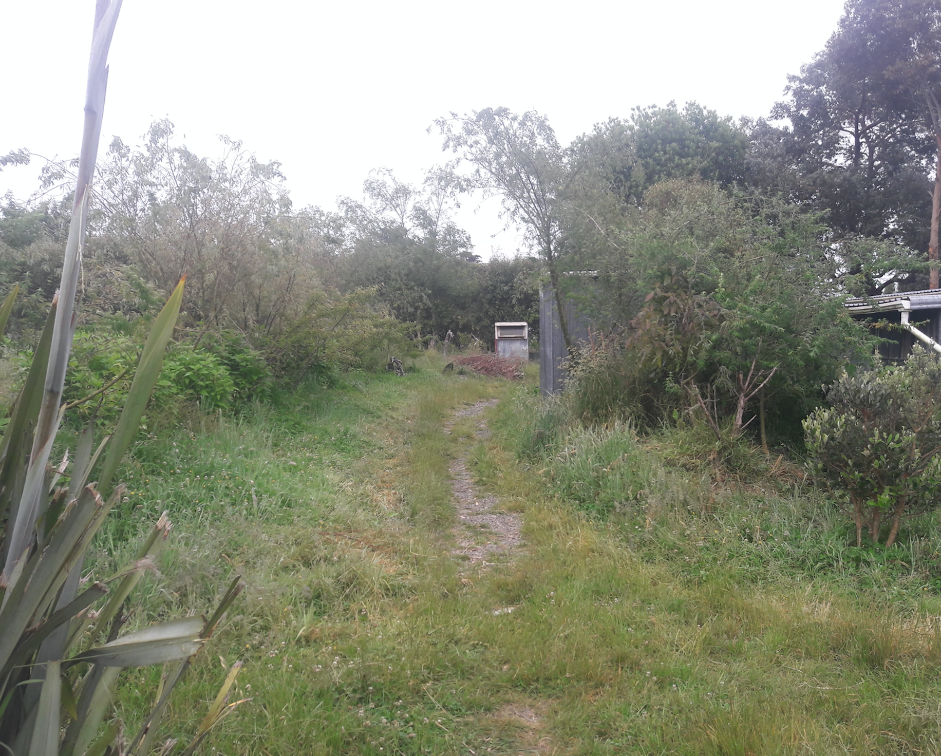 Screen Shot 2019-12-05 at 6.32.54 am