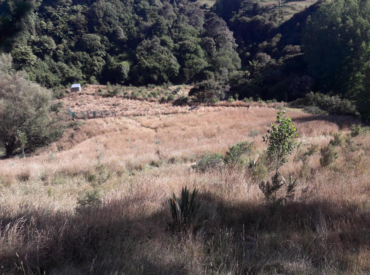 Screen Shot 2020-01-15 at 12.16.26 pm