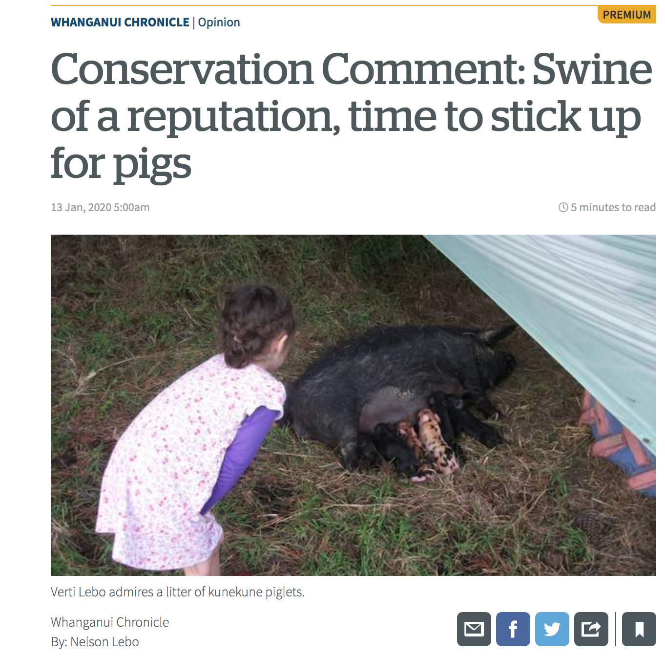 Screen Shot 2020-01-15 at 2.03.31 pm