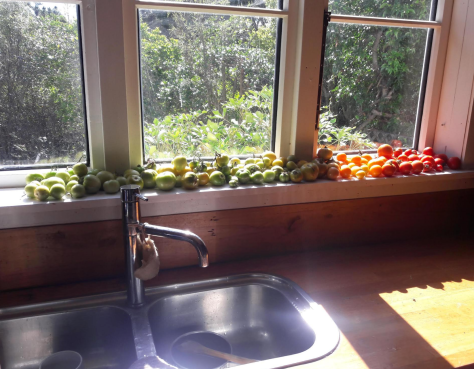 Screen Shot 2020-04-09 at 5.11.15 am