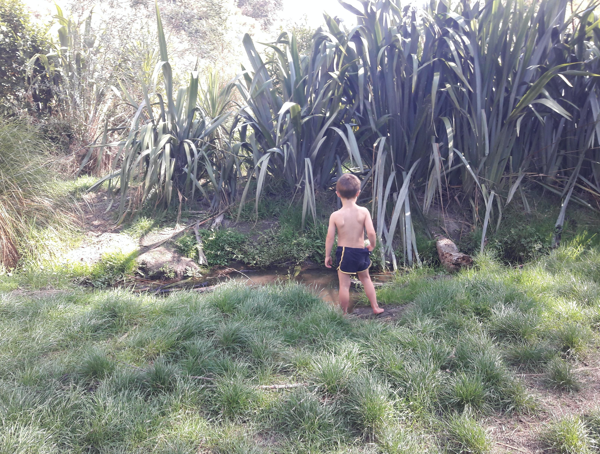 Screen Shot 2020-04-09 at 5.25.38 am